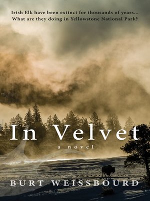cover image of In Velvet